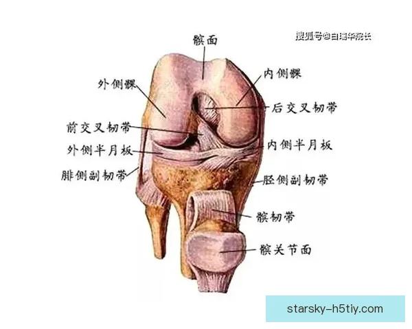 特鲁宾进球后遭队友压伤膝盖仍痛